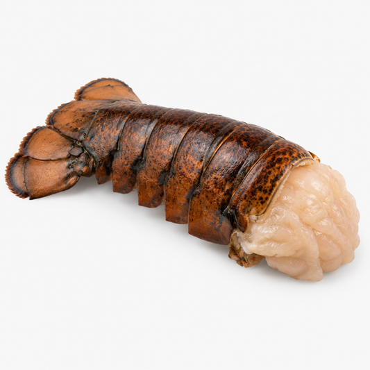 12 to 14 Oz. Lobster Tail — product on a white background