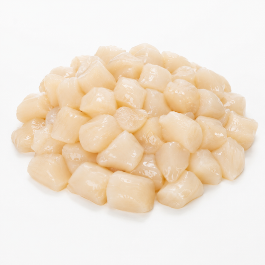 Bay Scallops – product on white background