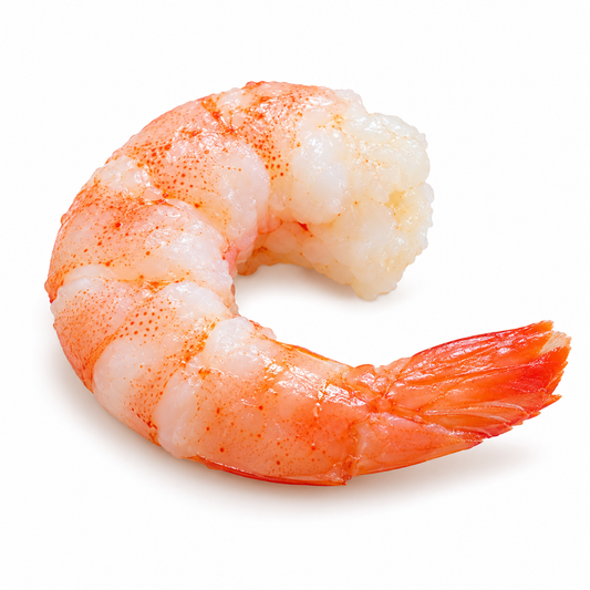 cooked 16 20 white shrimp — product on white background