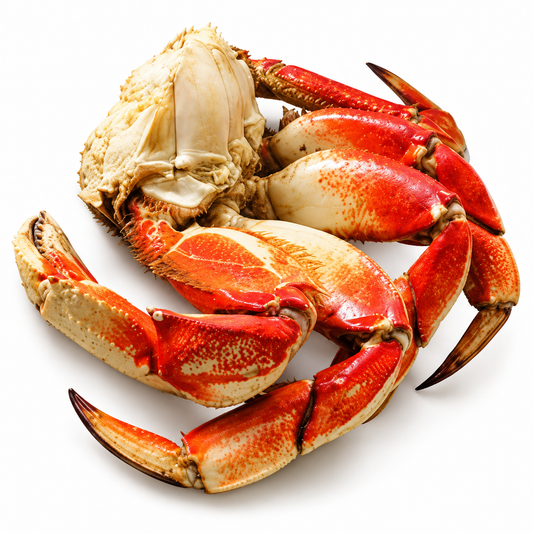 dungeness crab — product on white background