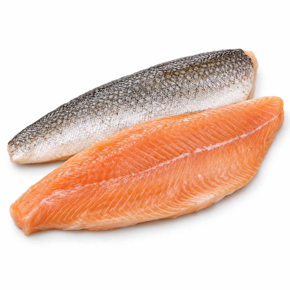 lake trout fillets — product on white background