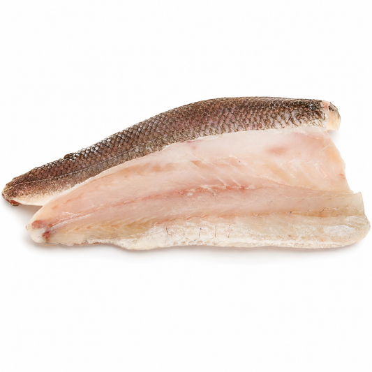 Lake Whitefish — product on a white background