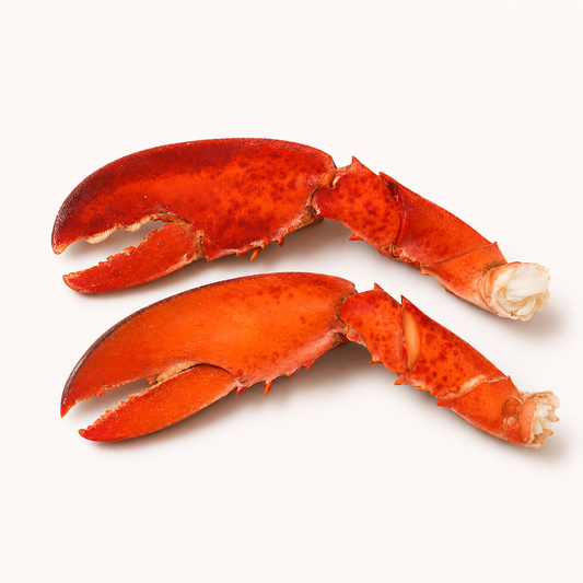 Lobster Claws — product on a white background