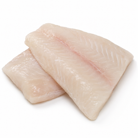 Pacific Grouper — product on a white background