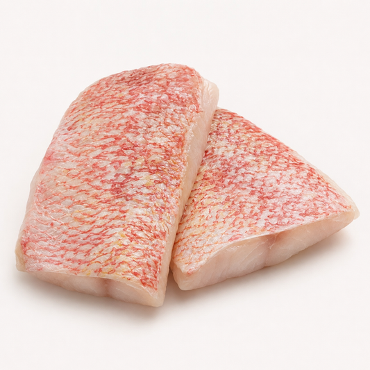 Scarlet Snapper — product on a white background