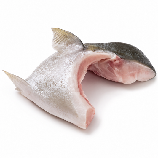 Yellowtail Collars — product on a white background