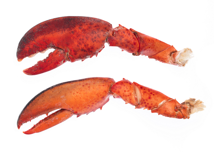 Lobster Claws Lobster Claws
