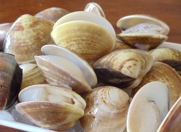 Whole-Shell Clams