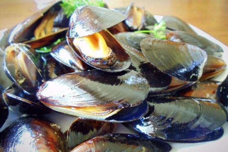 Blue Mussels